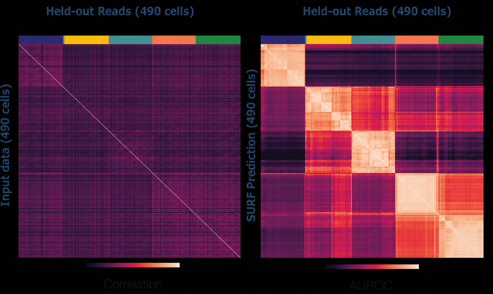 Pairwise comparison across 490 snmC-seq2 cells: sparse input correlations on the left and SURF prediction AUROC on the right
